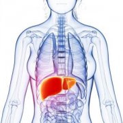 慢性肝炎的症状都有哪些呢？杭州御和堂中医讲解！